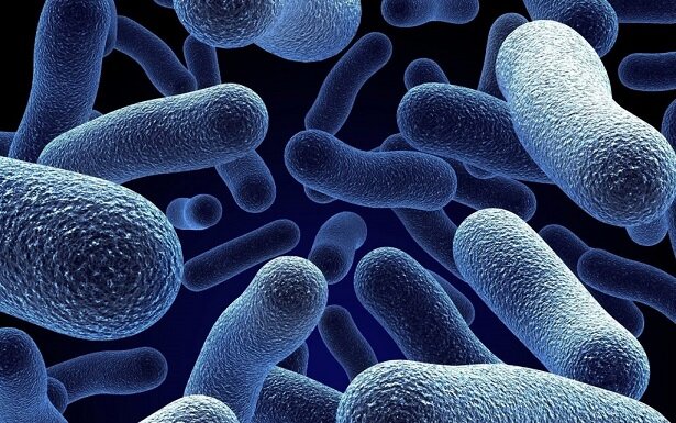 افزایش انتقال باکتری‌های مقاوم به دارو از جوامع انسانی به طبیعت