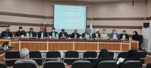 افزایش تعرفه صادراتی پیاز برداشته می شود