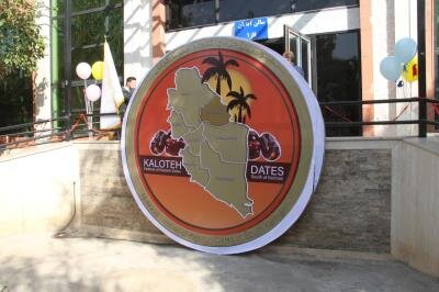 دومین جشنواره ملی خرمای کلوته در جنوب کرمان پایان یافت