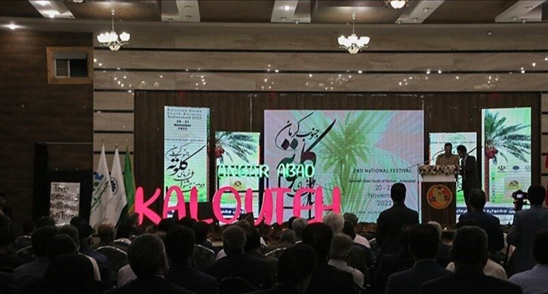 دومین جشنواره ملی خرمای کلوته در جنوب کرمان پایان یافت 