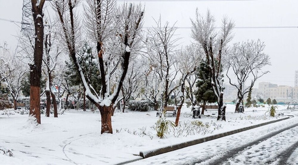 پیش بینی بارش برف در روز جمعه در کردستان