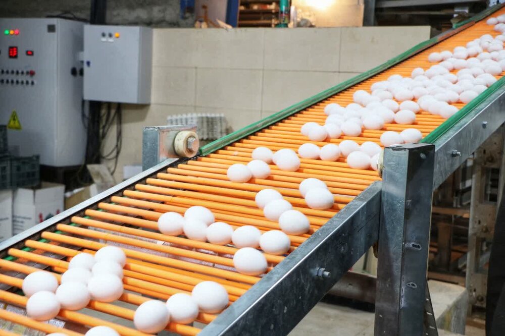 کلنگ زنی و افتتاح چندین طرح ورزشی، صنعتی و عمرانی در رفسنجان