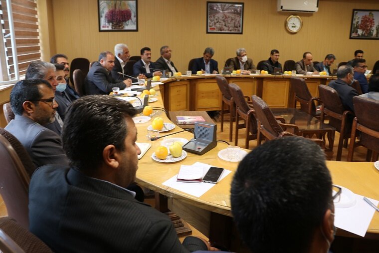 باید کشت قراردادی گندم را نهادیه کنیم/طرح ملی پایداری تولید گندم در حال اجراست