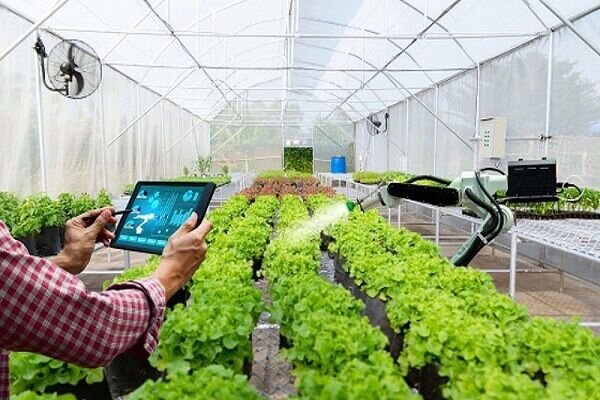 ضوروت توجه به زیرساخت های بنیادی و فناوری در حوزه کشاورزی کردستان
