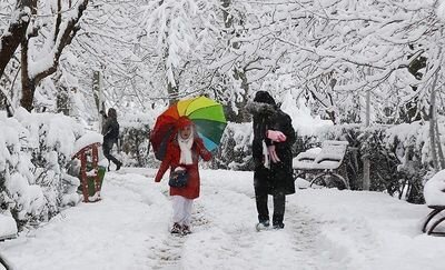 بارش برف مدارس برخی از نقاط استان کرمان را تعطیل کرد