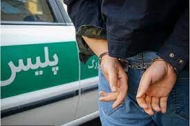 دستگیری عامل قتل شهروندان استان فارس در شهرستان فهرج