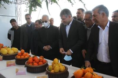 نبود حمل و نقل صادراتی، مهمترین چالش بخش کشاورزی استان کرمان