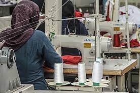 ۶۵۰ طرح اشتغالزایی در زنجان به بهره برداری رسید