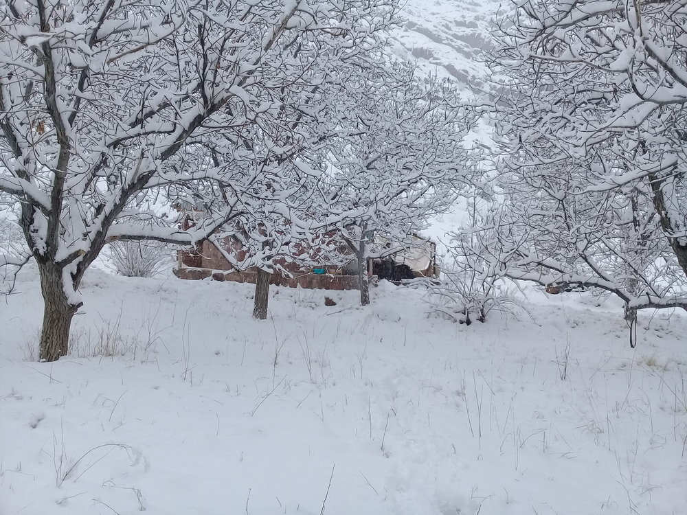 ادامه یخبندان در ۲۵ استان و چند توصیه به دامداران و کشاورزان