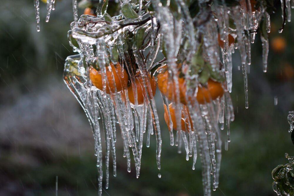 تداوم هوای سرد در استان کرمان/ کاهش محسوس دما در جنوب استان