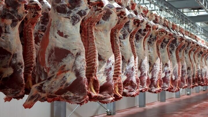 قیمت گوشت وارداتی تغییری نداشته است
