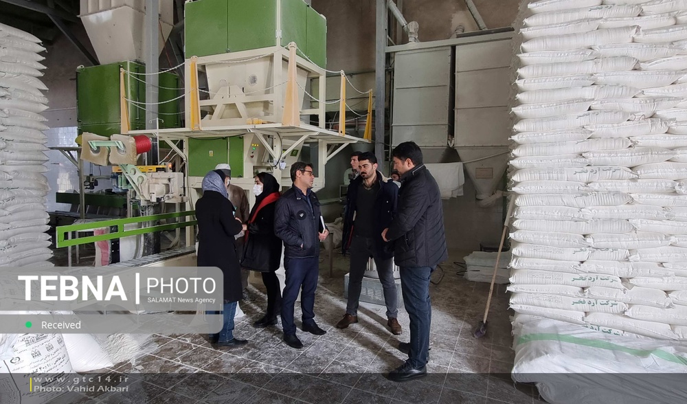 فعالیت کارخانجات آردسازی استان زنجان به طور مستمر مورد بررسی قرار می‌گیرد

