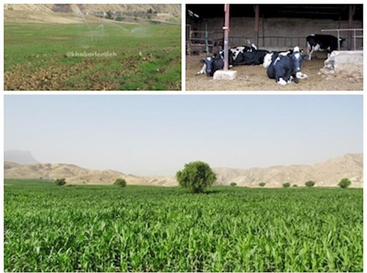 افتتاح ۵ طرح کشاورزی و دامپروری در شهرستان بردسیر