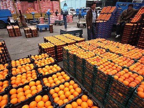 عرضه میوه شب عید ۱۰ درصد کمتر از نرخ های بازار