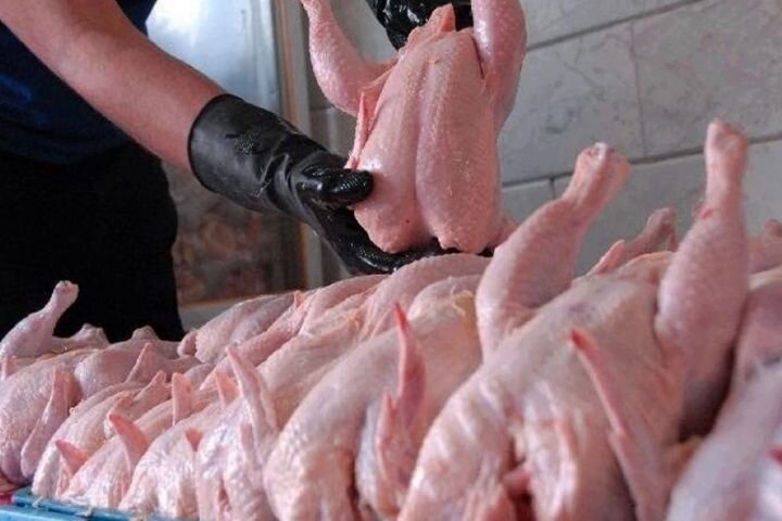 عرضه مکفی مرغ در ایام عید/ قیمت از ۶۳ هزار تومان بیشتر نمی‌شود