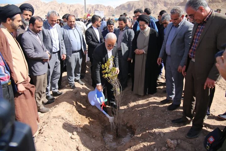 کاشت ۶ هزار و ۵۰۰ اصله درخت به یاد شهدای استان کرمان 
