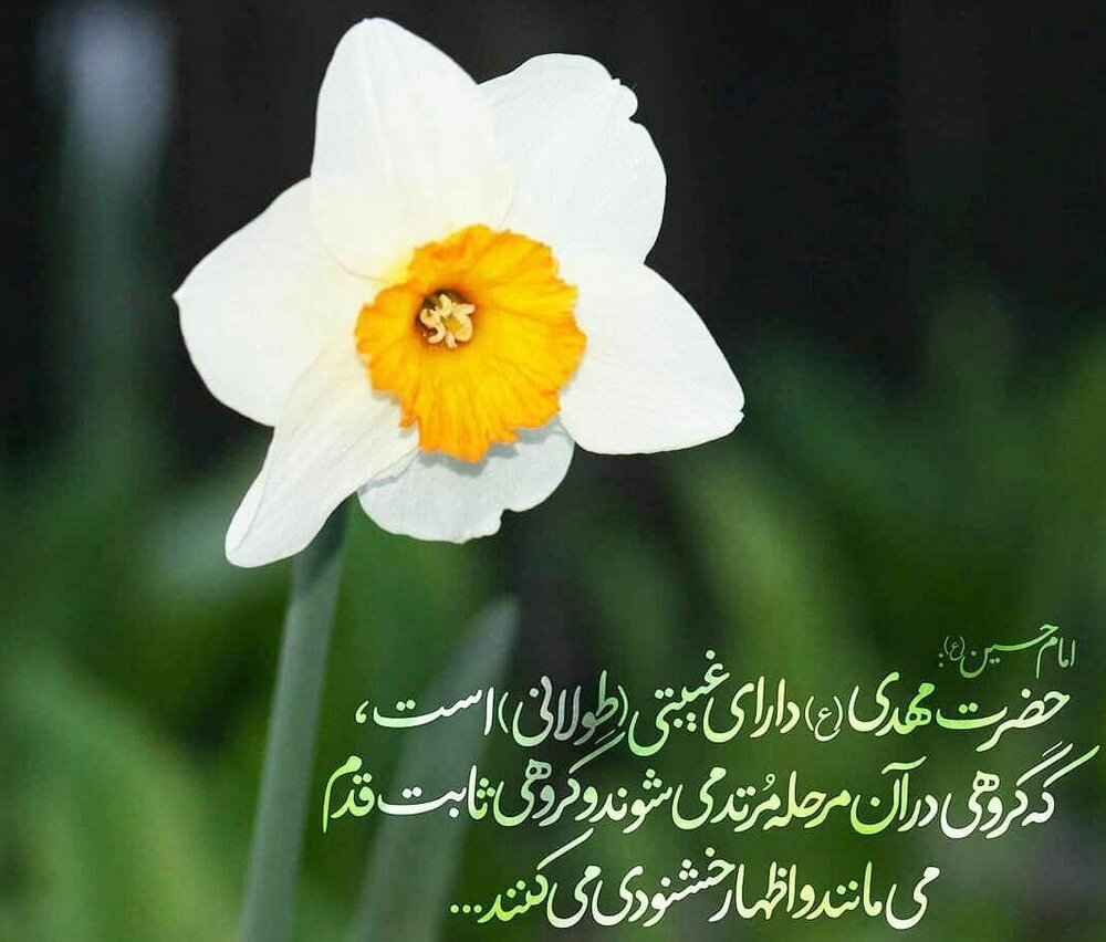 دل بی تو به جان آمد/ وقت است که باز آیی