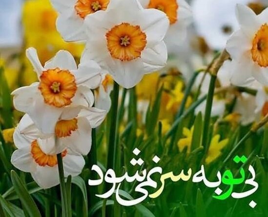 دل بی تو به جان آمد/ وقت است که باز آیی