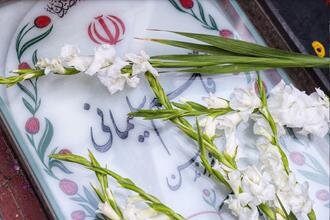 رئیس مجلس شورای اسلامی وارد کرمان شد