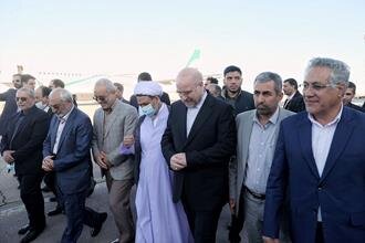 رئیس مجلس شورای اسلامی وارد کرمان شد