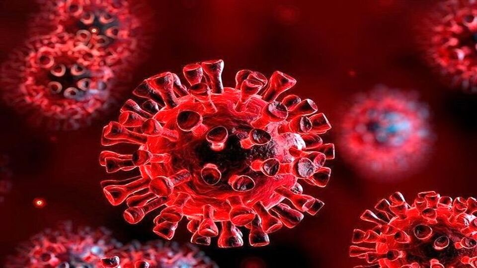 کاهش رعایت دستورالعمل های بهداشتی مقابله با ویروس کرونا در استان های کشور
