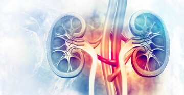 پیشگیری از بیماری‌های کلیوی با چکاپ منظم و مصرف صحیح مایعات امکان‌پذیر است