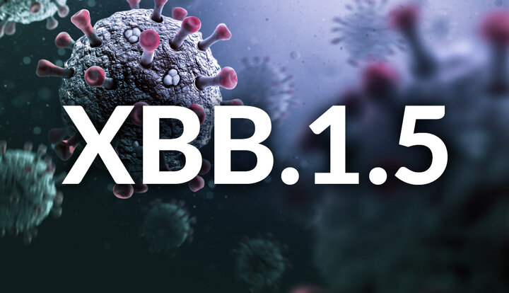 XBB.۱.۵؛ زیر سویه جدید اُمیکرون را بشناسید