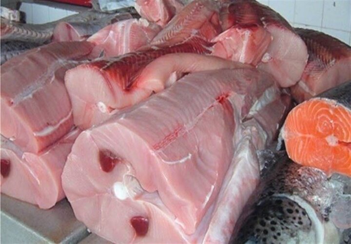 کشف ۶۸ کیلوگرم گوشت کوسه از یک ماهی فروش دوره گرد در سیرجان