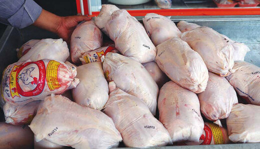 لزوم هوشمندسازی توزیع مرغ در استان کرمان