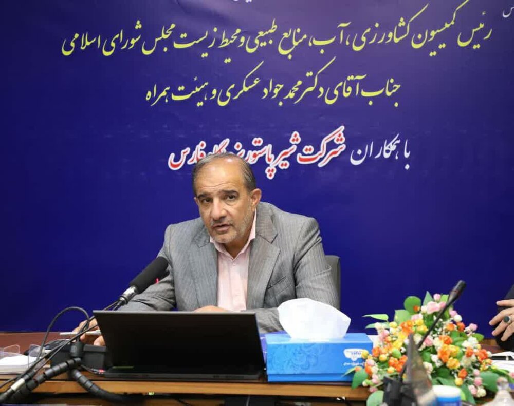عسکری مطرح کرد: فارس می تواند به هاب منطقه تبدیل شود 