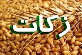  ۹۵ میلیارد ریال زکات در شهرستان سنندج جمع آوری شد