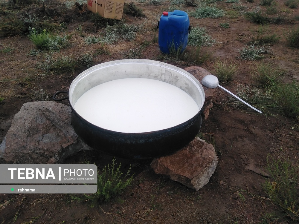  چهلم نوروز و شکرانه پخت" آش شیر" در پاریز
