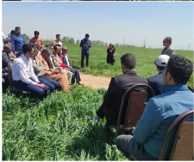 اجرای کاروان ترویج الگوی کشت محصولات زراعی در کردستان
