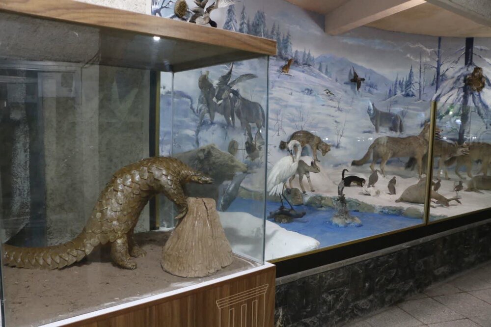 افتتاح نخستین موزه دیرینه شناسی و حیات طبیعی کشور در کرمان