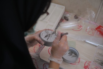 با همت گروه جهادی منتظران ظهور:خدمت درمانی و دندانپزشکی برای مرزنشینان بخش درح شهرستان سربیشه