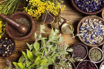 تاکید ایران و چین بر توسعه همکاری‌های طب سنتی، دارو و تجهیزات پزشکی