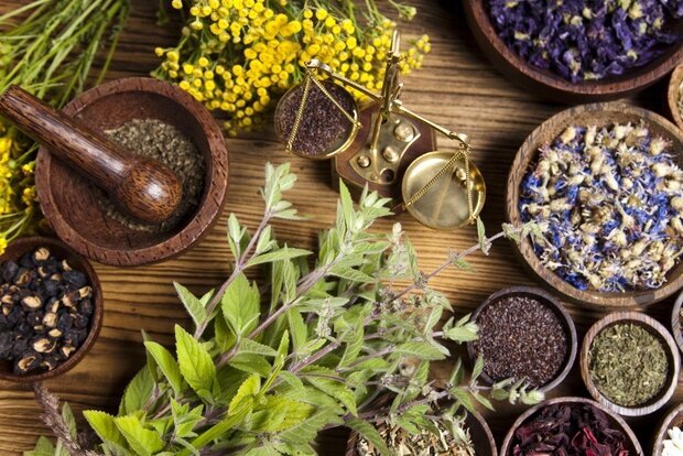 تاکید ایران و چین بر توسعه همکاریهای طب سنتی، دارو و تجهیزات پزشکی تاکید ایران و چین بر توسعه همکاریهای طب سنتی، دارو و تجهیزات پزشکی