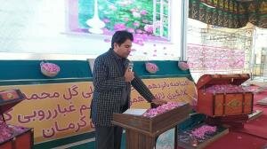 شمیم گل های محمدی بر مزار سردار دلها / آغاز پانزدهمین جشنواره گل محمدی بردسیر کرمان