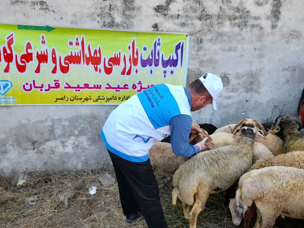 فعالیت ۴۰ میدان عرضه دام در استان مازندران