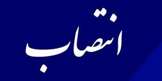مدیرکل جدید استاندارد کردستان منصوب شد