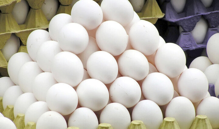 قیمت تخم مرغ در ماه رمضان نوسانی ندارد