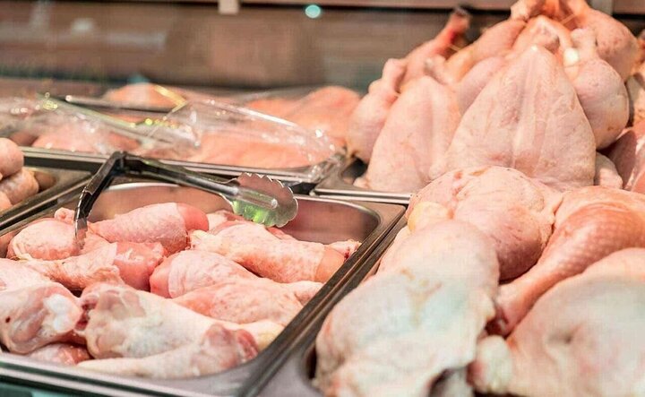 تولید بیش از ۱۲ هزار تن گوشت مرغ در استان کرمان