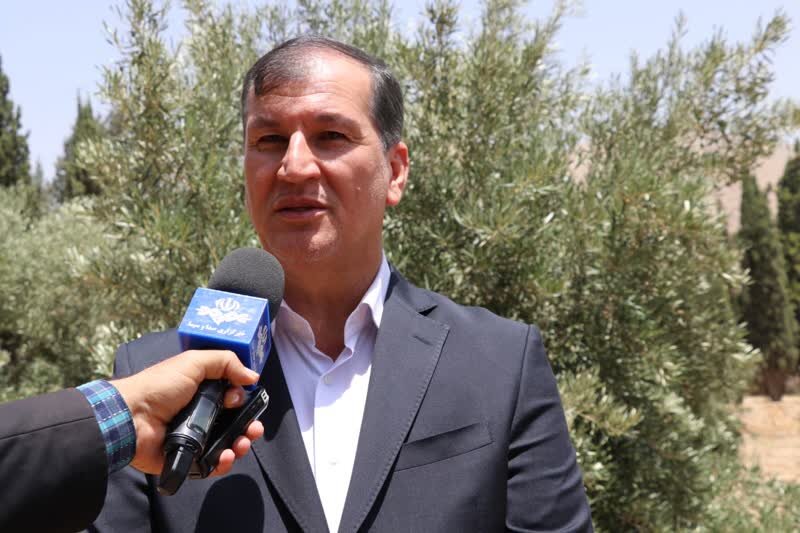 110 رقم زیتون در کلکسیون ارقام زیتون شیراز تولید خواهد شد