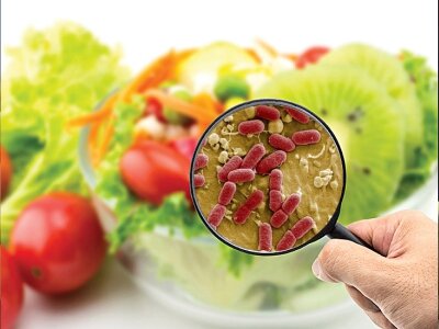نقش سلامت غذا از مزرعه تا سفره در بیماریهای منتقله از آب و غذا