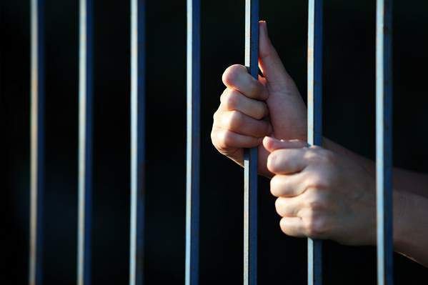  مرغ‌فروش متخلف مریوانی به یک سال حبس محکوم شد 