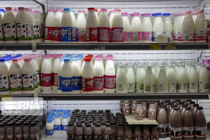 تکلیف دولت برای توزیع شیر رایگان در مدارس | کدام مدارس شامل این طرح می شوند؟