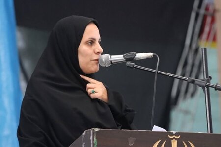 اجرای کمپین مالاریا در رودبار جنوب /نقش مهم اتباع در انتشار این بیماری