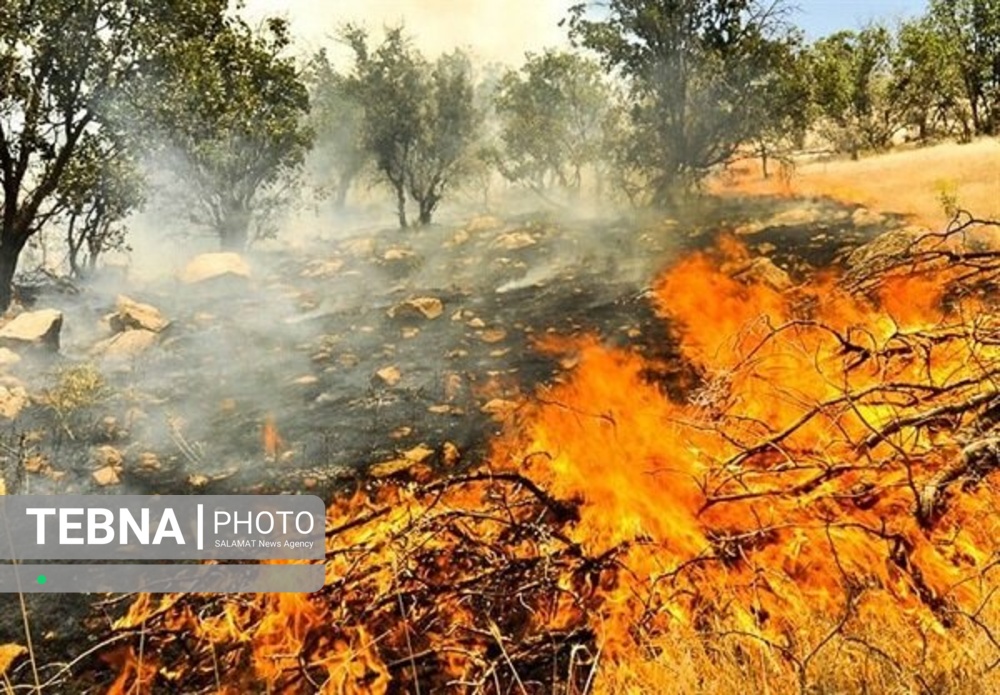 آتش‌سوزی‌های جنگلی خطر آنفلوانزا و کووید۱۹ را افزایش می دهند