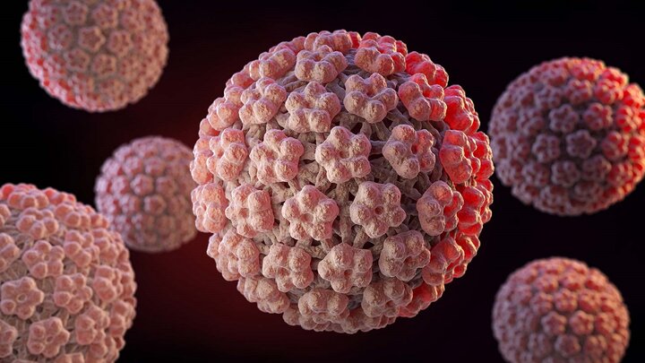 ویروس HPV تنها عامل شناخته شده سرطان دهانه رحم است