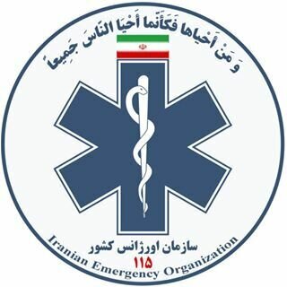 سازمان اورژانس کشور اعلام کرد؛ ۷ مصدوم در حادثه تصادف خودروی زائران ایرانی + اسامی مصدومان